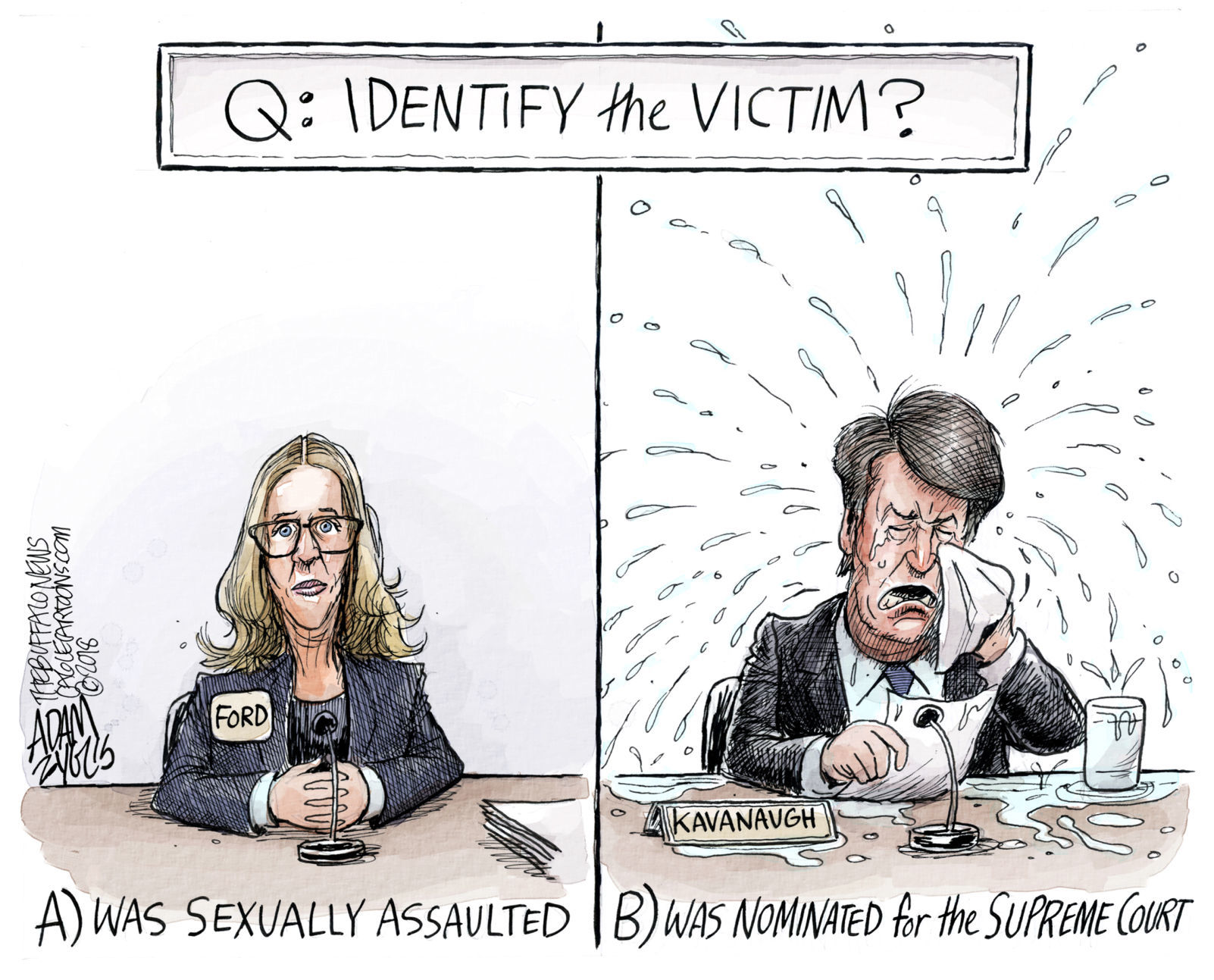 Kavanaugh confirmation cartoon